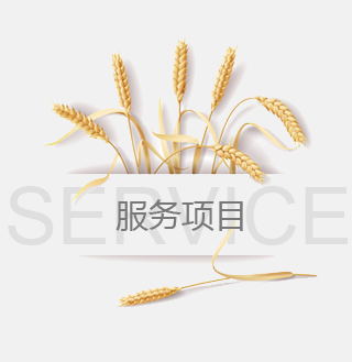 玩球（中国）官方网站
